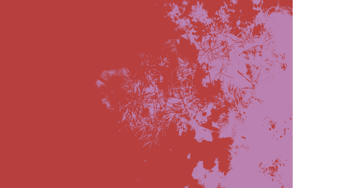 STORE LOCATOR Find us