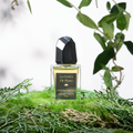 Aurora Borealis  30ml